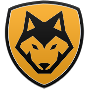 VfL 볼프스부르크